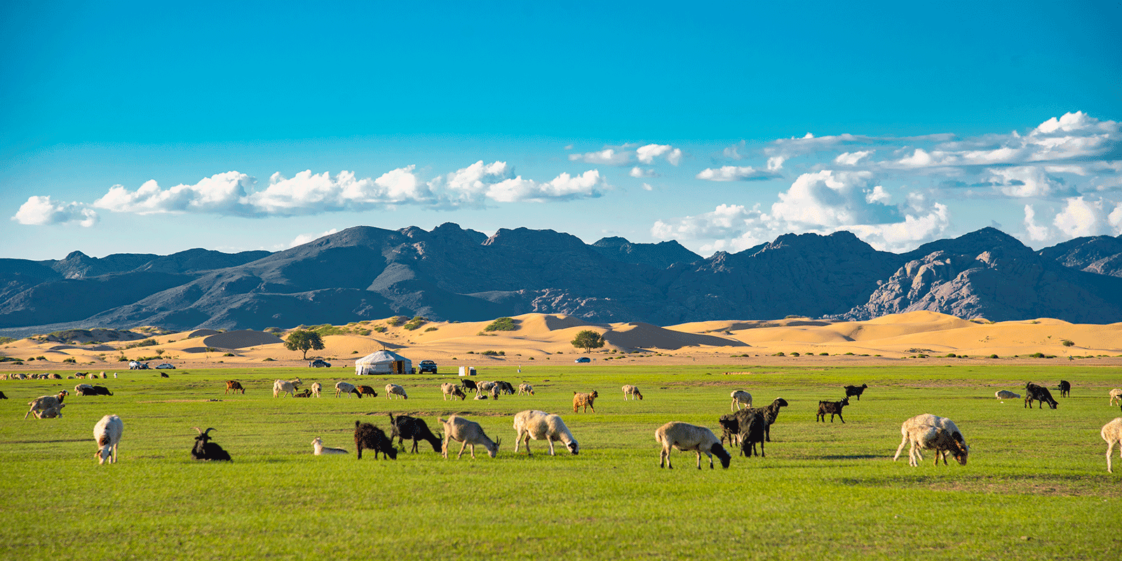 Discover the Heart of Mongolia