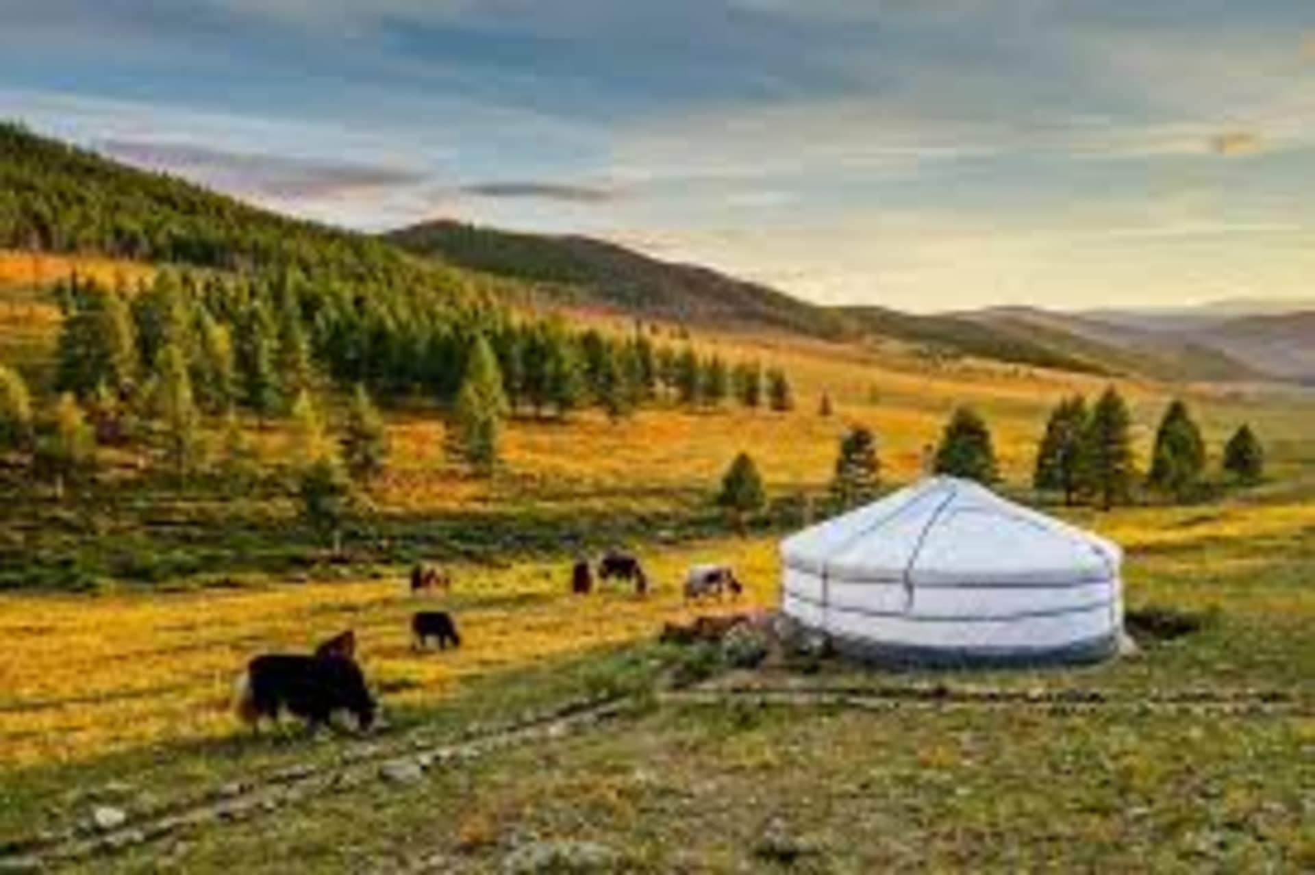 Nomadic Mongolia: Living with the Steppes