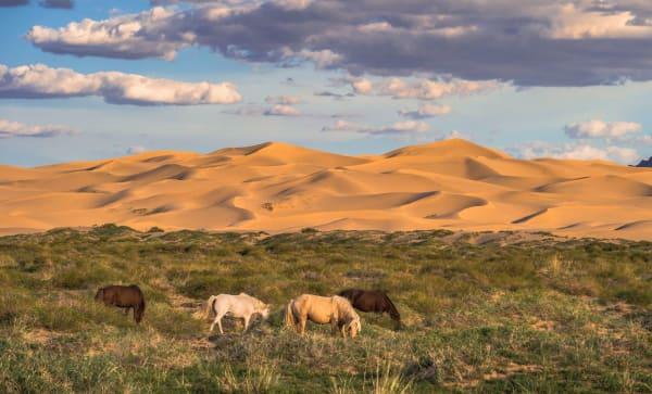 The Enigmatic Beauty of the Mongolian Gobi Desert: Exploring its Sand Ecosystem and Unpredictable Weather
