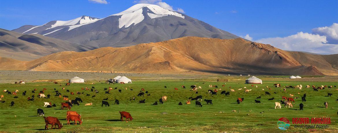 Mongolia Travel Tips and Ideas for the Eco-Friendly Traveler