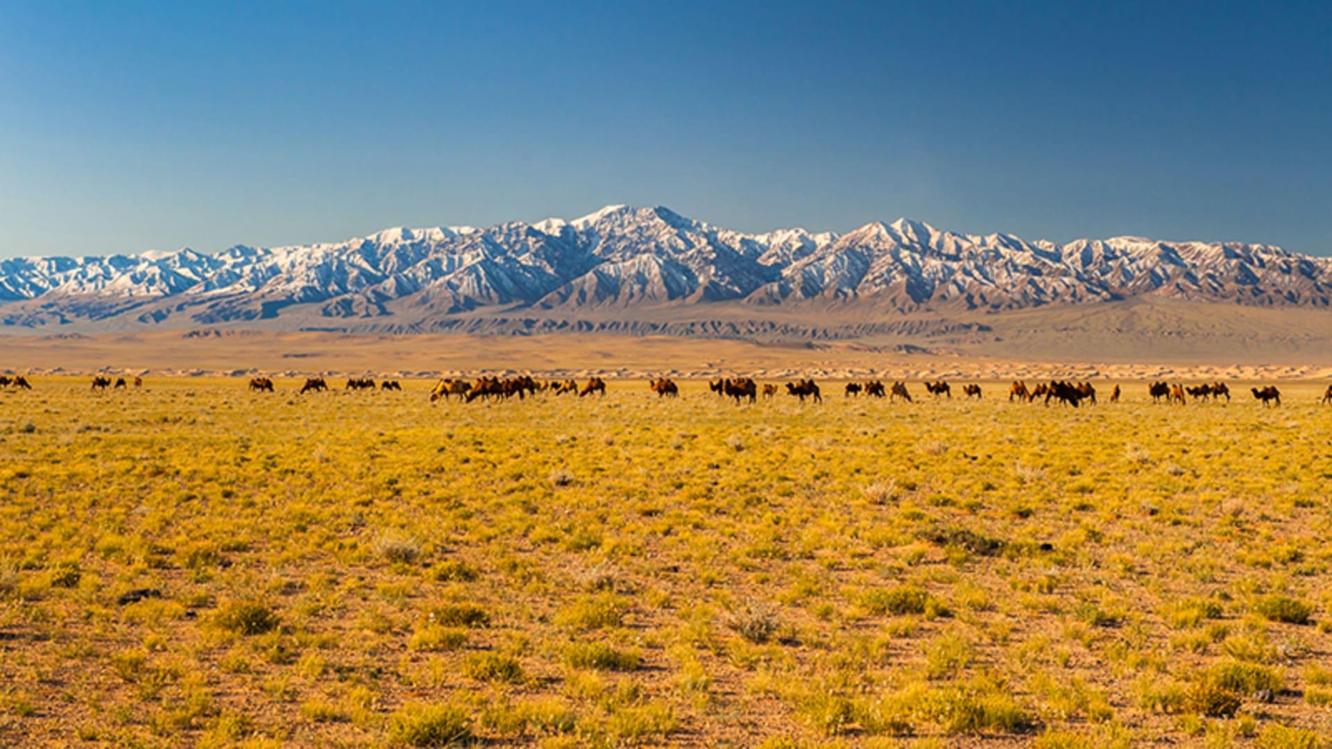 About Maralgoo Dreamland